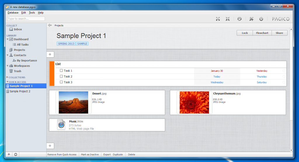Project View in Pagico 6 on Windows