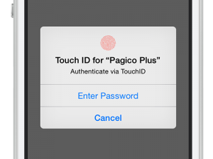 TouchIDAuthentication