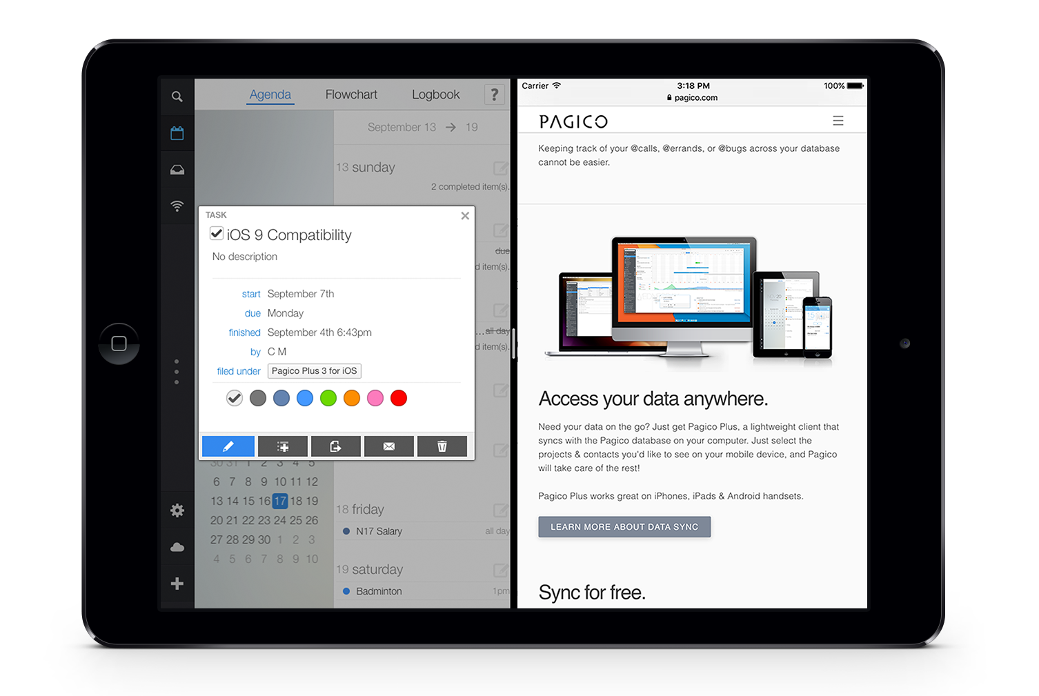 Pagico Plus 3 for iPad in Split View Mode